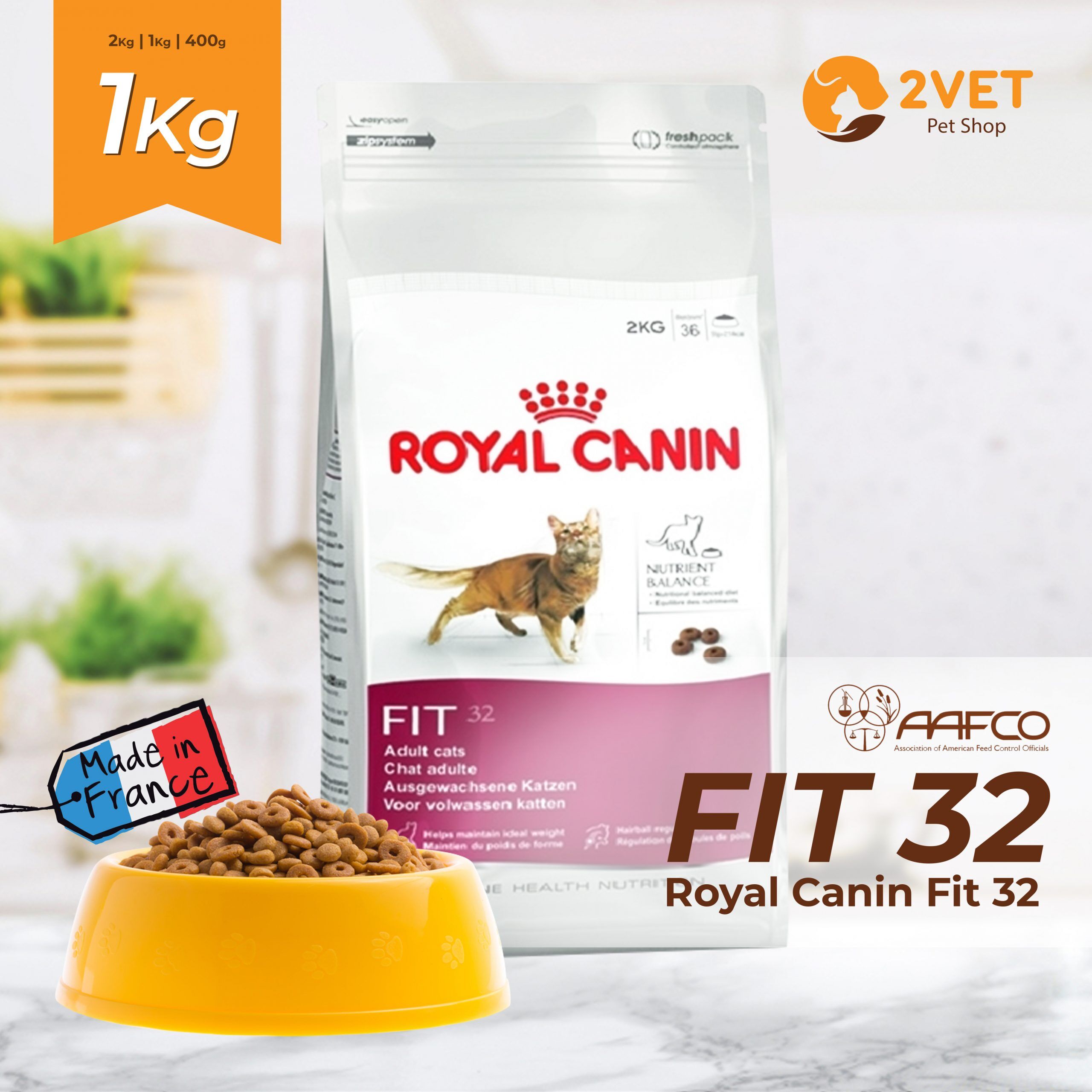 royal-canin-fit-32-goi-1kg